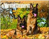 German Shepherds - For the love of 2015 - Deutsche Schäferhunde: Original BrownTrout-Kalender - Deluxe [Mehrsprachig] [Kalender] by 