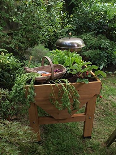 VegTrug Pflanztrog aus Holz, 1 m breit – kleine Ausführung - 4