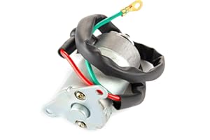 CMPO Starter Motor compatible with Lexmoto Diablo50 Euro 5 LJ50QT-9M-E5/Diablo50 LJ50QT-9M/Echo+ 50 Euro 5 LJ50QT-6L-E5/Echo+ 50 LJ50QT-6L/Nano 50 LJ50QT-N