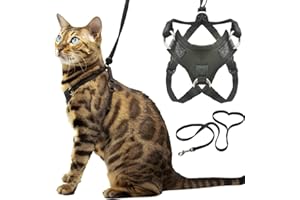 Houdini™ - Set di pettorina e guinzaglio per gattini resistenti alle fughe, di OutdoorBengal per gattini che camminano (S)