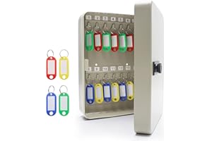 BUUMIN Combination Key Safe - Wall Mounted Key Box - Steel Key Storage Cabinet with 28 Hooks and 30 Key Tags - Key Holder Storage for Homes Office Outdoor Apartments Hotels Business