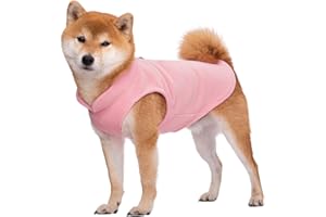 BT BEAR Hundepullover, Hunde-Sweatshirt, weiche Fleece-Weste, Kaltwetterjacke mit Leinen-Ring für kleine Hunde, mittelgroße Hunde (Medium, Hellrosa)