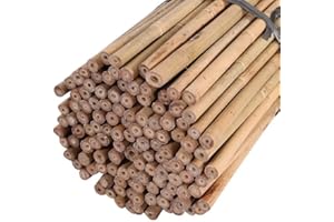 TRADEXONE Strong Heavy Duty Professional Bamboo Canes for Plant Support - All Lengths 2ft, 3, 4, 5, 6, 7 & 8ft Garden Stakes, Thick Garden Canes, Sturdy & Natural Large Bamboo Sticks for Plant (4ft,20, 8-10mm)