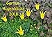 Produktbild Garten-Augenblicke (Wandkalender 2018 DIN A3 quer): Stimmungsvolle Gartenszenen im Wechsel der Jahreszeiten (Monatskalender, 14 Seiten ) (CALVENDO Natur)