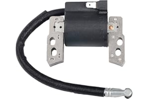 Beehive Filter Bobina di accensione Elettronica sostituisce per Briggs & Stratton 695711,802574,493237,796964,492416
