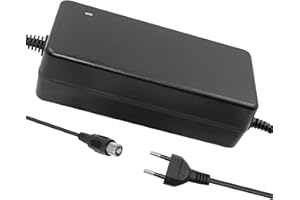 Hauteook 54,6V 2A Li-Ion Caricabatterie con Testina DC, XLR 3 Pin, 3P GX16, 3P GX12, 3P Plug Adattatore di Alimentazione