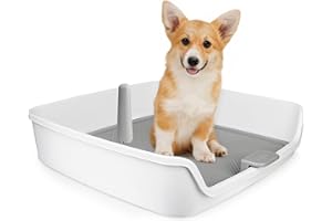 ALL FOR PAWS Dog Potty Tray Indoor Dog Pee Pad Holder Toilet Puppy Litter Box with Removable Post, Raised Sides, Large Space, Shed Proof & Mess Free, Easy Clean-up, Great for Large Size Dogs