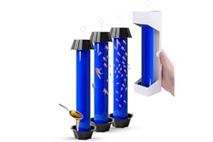 EXTERMION – Pièges anti moucherons, thrips & mouches des fruits – Lot de 3 grands pièges ultra-collants avec coupelle à appât, sans insecticide – idéal cuisine, intérieur, corbeille à fruits & plantes