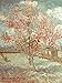 Produktbild Artland Qualitätsbilder I Wandbilder Selbstklebende Wandfolie 30 x 40 cm Landschaften Wiesen Bäume Malerei Grün C2YT Blühender Pfirsichbaum 1888
