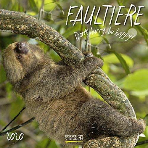 Faultier 2020: Broschürenkalender mit Ferienterminen. Format: 30 x 30 cm
