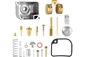 LIANGREN Motorrad Vergaser Reparatursatz für BVF-Vergaser 16N1-11, Kompatibel mit Simson S50 S51 S53 S70 SR50 SR80 KR51 Schwalbe S70 Komplettes Dichtungs- und Düsenset