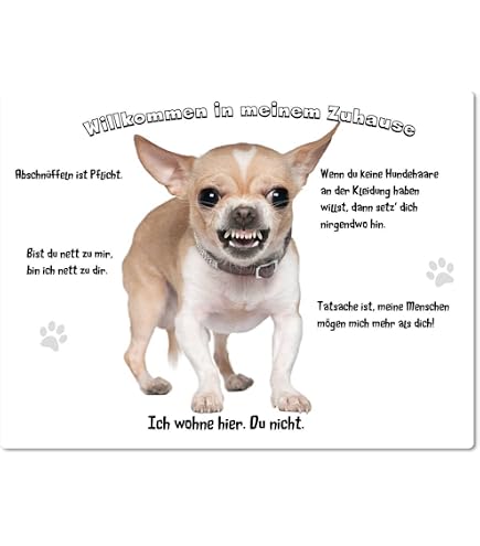 Alu-Verbundschild 'Vorsicht Siehst Mich Nicht' Mit Chihuahua Motiv – 300x200 Mm, Wetterfest, Für Garten & Haus