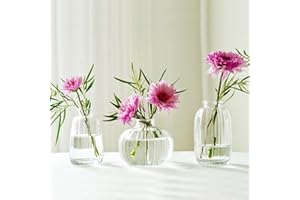 KMERCE Set di 3 piccoli vasi per fiori in vetro trasparente, mini vasi di vetro, decorazione moderna per la casa, per centro, matrimonio, camera da letto, compleanno, regalo per la festa della mamma