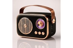 Fire turtle Vintage Bluetooth Wireless Speaker 10W RMS Loud Sound Retro Design with Type-C Charging, 8H Battery Backup, USB & AUX Input, Portable Home & Outdoor Speaker (RM-636-Black)