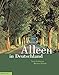 Alleen in Deutschland: Bedeutung, Pflege und Entwicklung by 