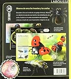Image de Insectos y Arañas (Larousse - Infantil / Juvenil - Castellano - A Partir De 8 Años)