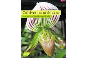 Cultiver les Orchidées en appartement ou sous lumière artificielle