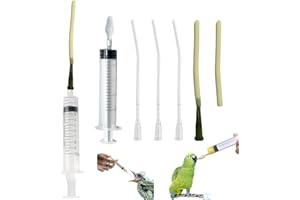 HAOBIN Tuyau d'alimentation pour Jeunes Oiseaux seringue de 10 ML avec Tuyau Seringue d'alimentation pour Oiseau d'accessoires pour Pigeons cuillère Acier Inoxydable pour Lait Eau médicaments (B)