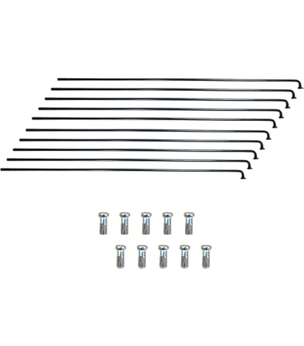 Rayons Inox 2mm L280mm Avec écrou - Boîte De 100 - Vélox - Neuf