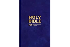 NIV Larger Print Personal Velvet Bible