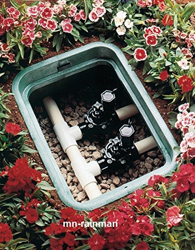 Rain Bird Magnetventil 100-DVF, 1″ IG mit Durchflussregulierung - 5