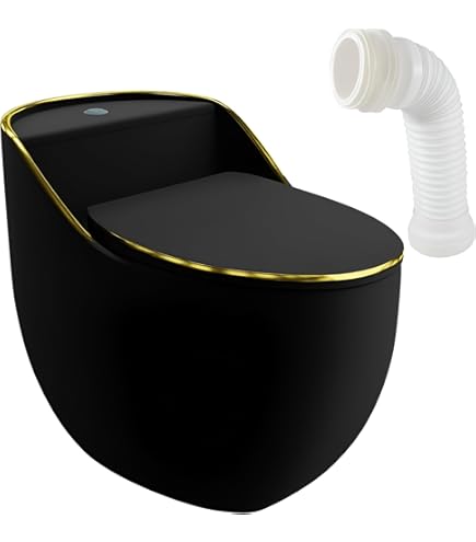 Toilette En Céramique Ronde Écoulement D Eau Au Fond Noir