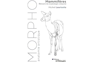 Morpho Mammifères: Eléments de morphologie comparée