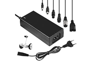 SKJJL Chargeur Trotinette Electrique 42V 2A, Chargeur de Batterie 42v 36V 2A avec 6 connecteurs pour Trottinette Chargeur Universelle électrique Scooter DC 5,5 mm2,1 mm connecteur