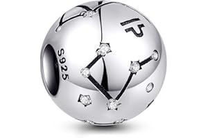 NINGAN Breloque en argent sterling 925 pour anniversaire 12 signes du zodiaque - Cadeau d'anniversaire idéal pour les femmes et les amis