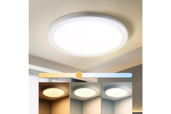 DA LIGHT Platt LED-taklampa 18 W, 2 000 lumen, badrum, 22 cm, IP54, vattentät, rund LED-panel, 3 000/4 000/6 000K, 3CCT, justerbar, för kök, hall, vardagsrum, sovrum