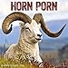 Produktbild Horn Porn 2019 Calendar