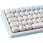 JakeTsai PBT keycaps, 135 toetsen Double Shot Keycaps Zijgegraveerde Transparante Keycap Set Cherry Profiel Backlit Keycaps voor Cherry MX Switch ASIN/ISO Layout Mechanisch Toetsenbord