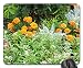 Produktbild Rectangle Non-Slip Rubber Mouse Pad(9.45x7.8x0.12 Inches) Park Green Landscape Holiday Grass Nature Garden 2