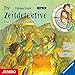 Das Feuer des Druiden: Die Zeitdetektive 18 by 