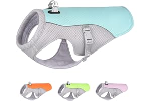 ENGEL WEMANG Gilet refrigerante per cani di taglia media e grande, per attività all'aperto, escursioni, allenamento, colpi di calore per cani, blu, taglia L