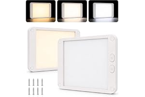 Intckwan LED-taklampa 12V för husbil, 6W, dimbar, 3 ljusfärger, 2-pack