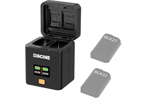 ZTIANFOTO ZG CINE PS-BLK22 - Maletín de carga para batería Panasonic / Lumix DMW-BLK22