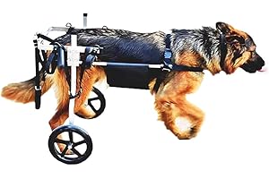 KHUY Carrellino per Cani Anziani Carrello Cane Disabili Grandi Taglia Media Pet Walkin Ruote Piedini Posteriori di Riabilitazione, Cane Cablaggi Auto 15-60kg Cani (Size : Medium)
