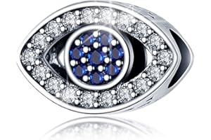 LNQOBU 925 Sterling Silver Charms for Bracelets and Necklaces Pendants Beads Mother's Day Charms Jewelry Gift for Women Girls