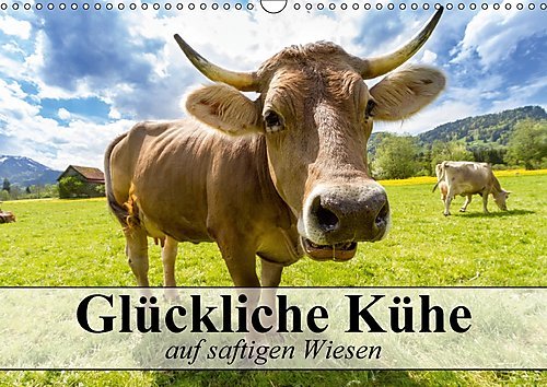 Glückliche Kühe auf saftigen Wiesen (Wandkalender 2017 DIN A3 quer): Kühe, die das Leben genießen dürfen (Monatskalender, 14 Seiten ) (CALVENDO Tiere)