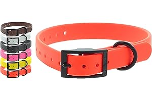 CANIHUNT Collier Chien CTECH Boucle Double - 6 Coloris - 2 largeurs, 3.8mm d'épaisseur, matière en polychlorure de Vinyle, Marque Française (1.9 x 0.4 x 45cm, Orange)