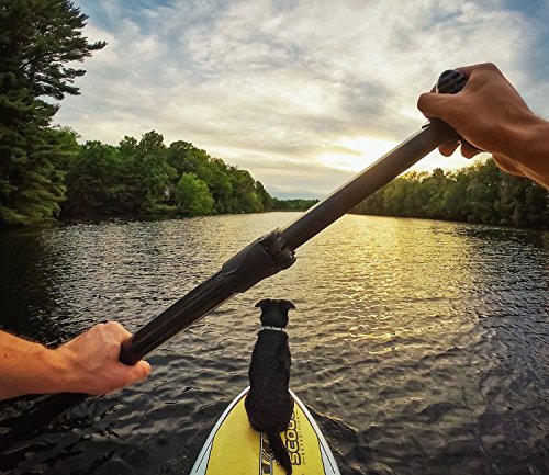‚GoPro Hero + Onboard Kamera 8 Megapixel WLAN schwarz (Verpackung E-Commerce „Auspacken ohne sich aufzuregen) - 8