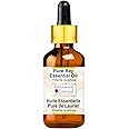 Greenwood Essential Pure Bay Essential Oil (Pimenta racemosa) with Glass Dropper 100% Natural Therapeutic Grade Steam Distilled for Personal Care 30ml (1oz)