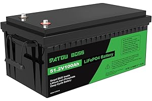 DATOUBOSS Batteria LiFePO4 da 48V 100Ah batteria al litio da 5120Wh con migliorata 100A BMS, 5000-15000 cicli di profondità, supporto in serie/circuito parallelo, per camper, pannello solare, marino