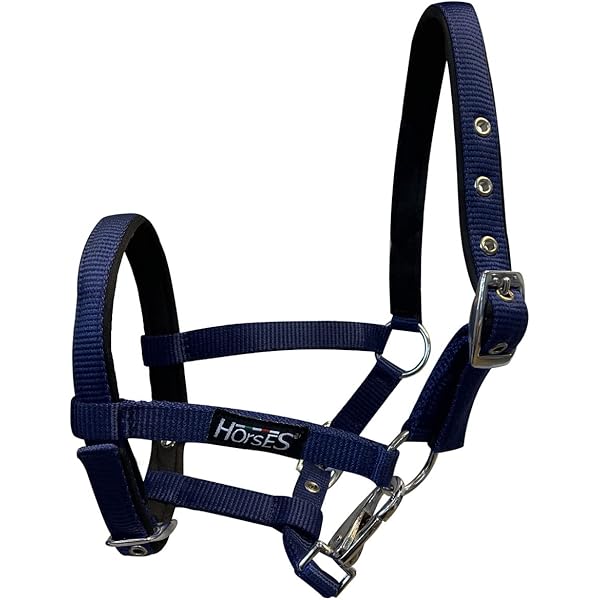 Cavezza Dexter Con Pile Covalliero - Sottostrato Morbido Regolabile Per Cavalli | Nero Unisex Adulto