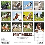 Image de Paint Horses 2017 Calendar