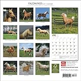 Image de Palominos 2011 Calendar