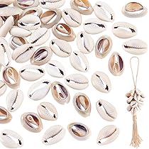 100 Pièces Perles De Coquillage En Spirale Sans Trou, Coquillages De