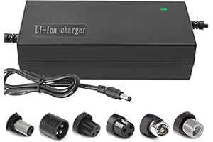 RAOKSUNE 29.4V 42V 54.6V 58.8V 67.2V 84V 96.6V Li-ion battery multi-function charger 2A 5A with cooling fan 24V 36V 48V 51V 60V 72V (42V 2A with fan)