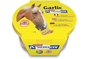 Horslyx Garlic Lick (650g) (Mini)